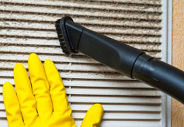 Best Home Air Vent Cleaning  in Live Oak, FL